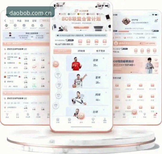 半岛体育平台BOB体育下载全流程深度解析：从安装到使用的完整指南